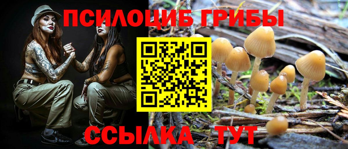 Галлюциногенные грибы Magic Shrooms  Галлюциногенные грибы Cubensis  Вход с VPN  Верхняя Пышма 